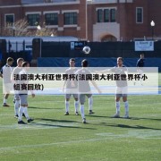 法国澳大利亚世界杯(法国澳大利亚世界杯小组赛回放)