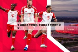 中国男足勇夺世界杯(中国男足勇夺世界杯冠军)