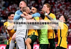 今天世界杯(今年世界杯在哪里举行2024)