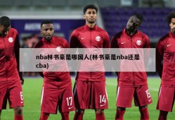 nba林书豪是哪国人(林书豪是nba还是cba)