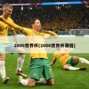 2006世界杯(2006世界杯赛程)